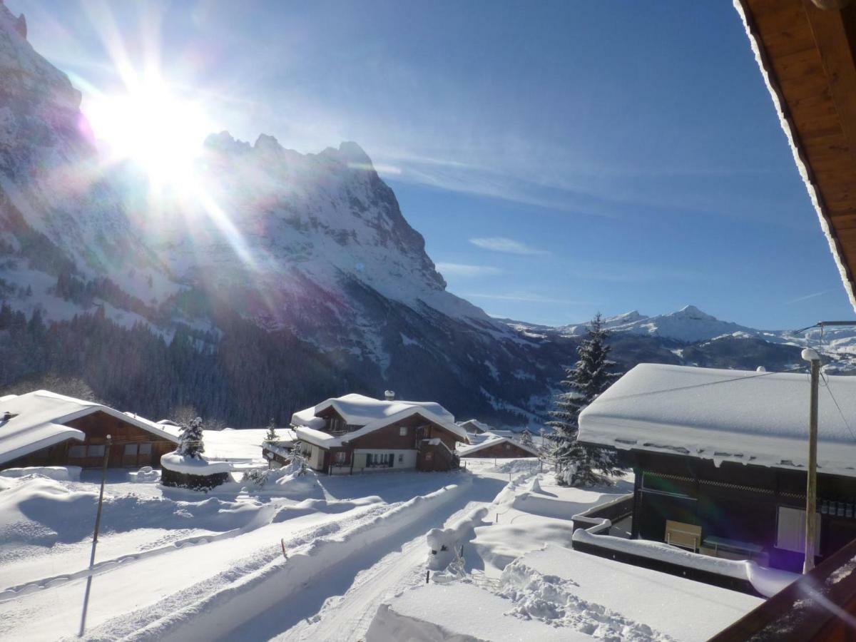 Апартаменти Chalet Verbrunnenhaus Гріндельвальд Екстер'єр фото