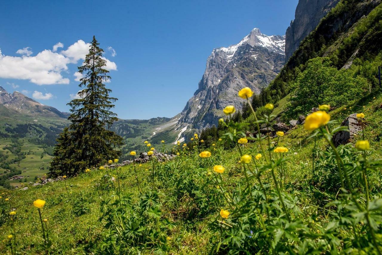 Апартаменти Chalet Verbrunnenhaus Гріндельвальд Екстер'єр фото