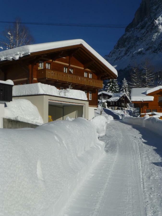 Апартаменти Chalet Verbrunnenhaus Гріндельвальд Екстер'єр фото